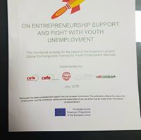 Best Practices on Global Entrepreneurship Support